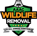 Waunakee Wildlife Removal